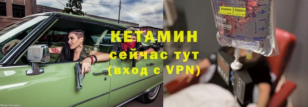 прущие грибы Волосово