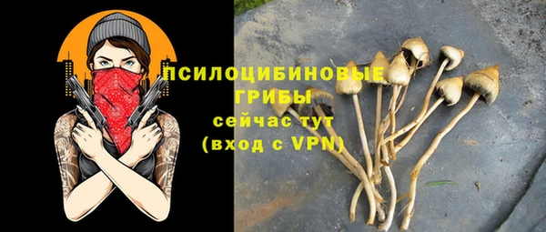 прущие грибы Волосово