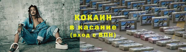 СК Волоколамск