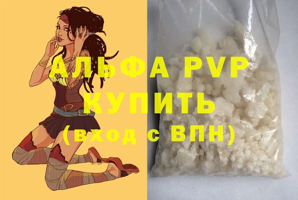 круглые Белокуриха