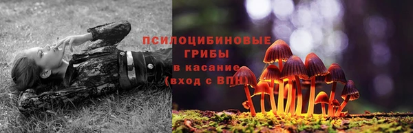 СК Волоколамск