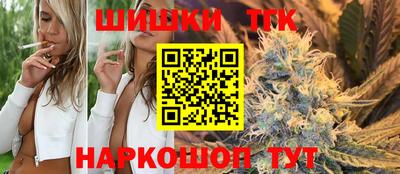 СК Бийск