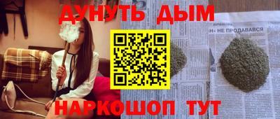 СК Бийск