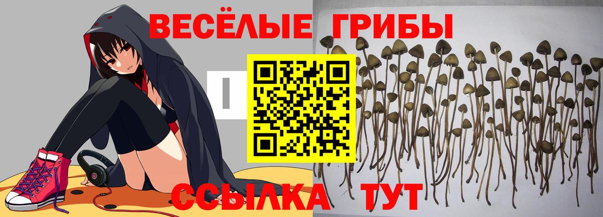 ГАШИШ  Каннабис  Кокаин  МЕТ  Гуково  Где купить  Гашиш  Вход с VPN  МЕФ  МЕФ  Марки 