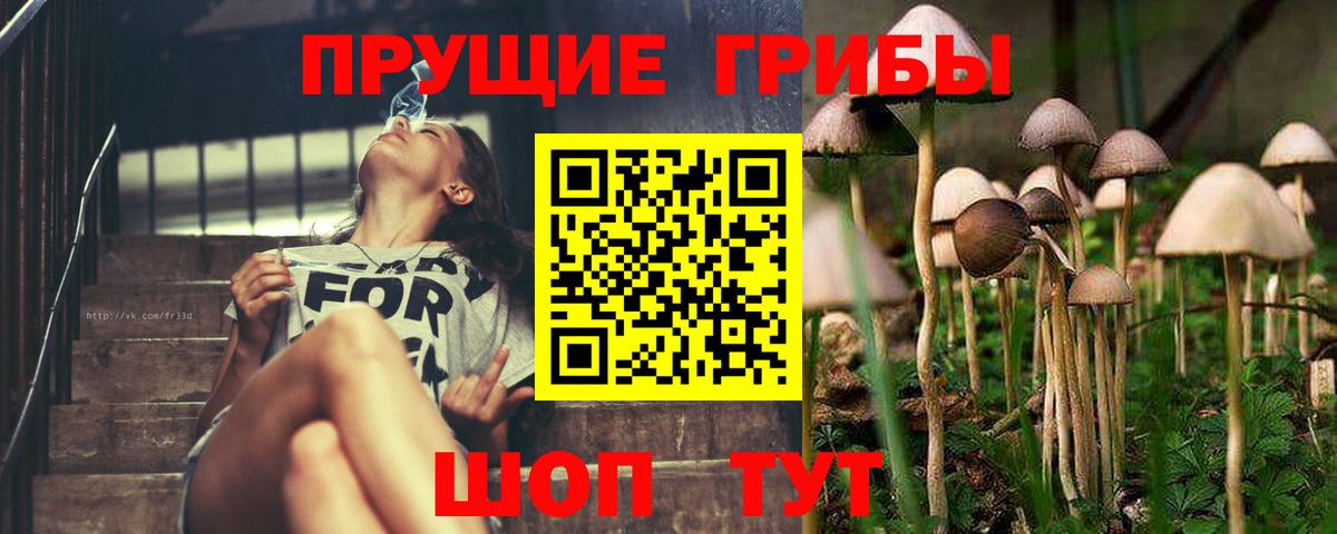 сколько стоит  Галлюциногенные грибы Cubensis  Вход с VPN  Гуково 